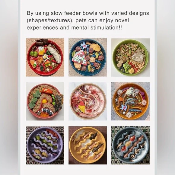 Bicopet Slow Feeder Pet Dog Ceramic Maze Non-Slip Silicone Rim Puzzle Heavy Duty - Picture 8 of 13